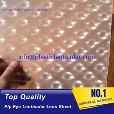 China PLASTIC LENTICULAR sphere lenticular fly-eye lens sheet 360 3d lenticular manufacturer supplier