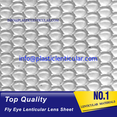 China PLASTIC LENTICULAR fly eyes lenses array Lenticular sheet 3d fly eye lens pp film with effect for sale supplier