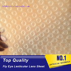 PLASTIC LENTICULAR 3d 360 fly eye lens sheet fly eye lenticular sheet arrays with small dots