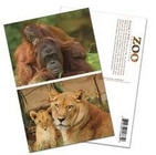 PLASTIC LENTICULAR cheap price 3D postcards 3D animal post cards with lenticular sheet material