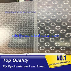 China PLASTIC LENTICULAR high quality 3d 360 dot lenticular lens sheet with small dots at the surface supplier